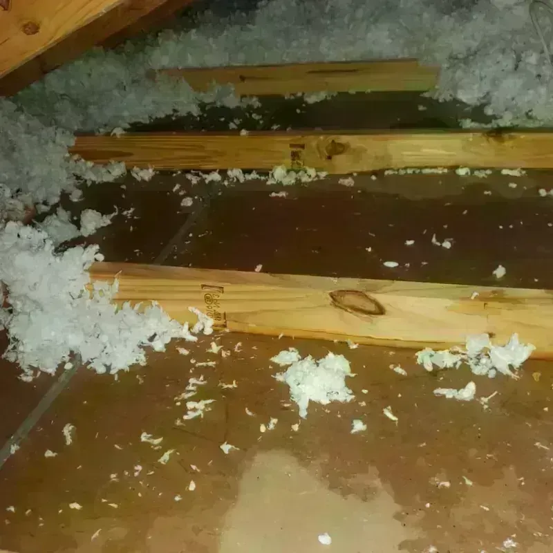 Attic Water Damage in Deschutes County, OR