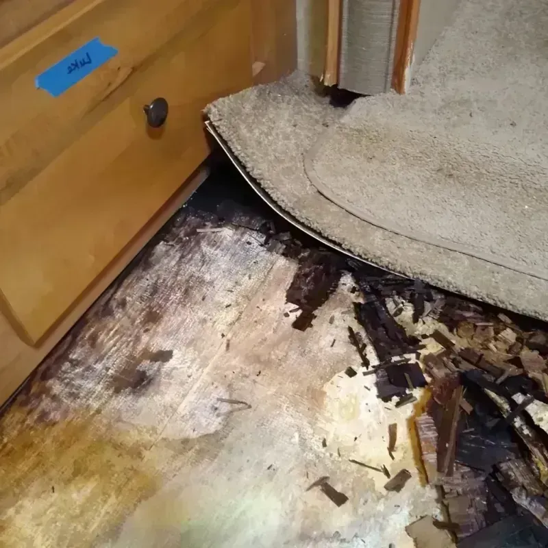 Best Wood Floor Water Damage Service in Deschutes County, OR